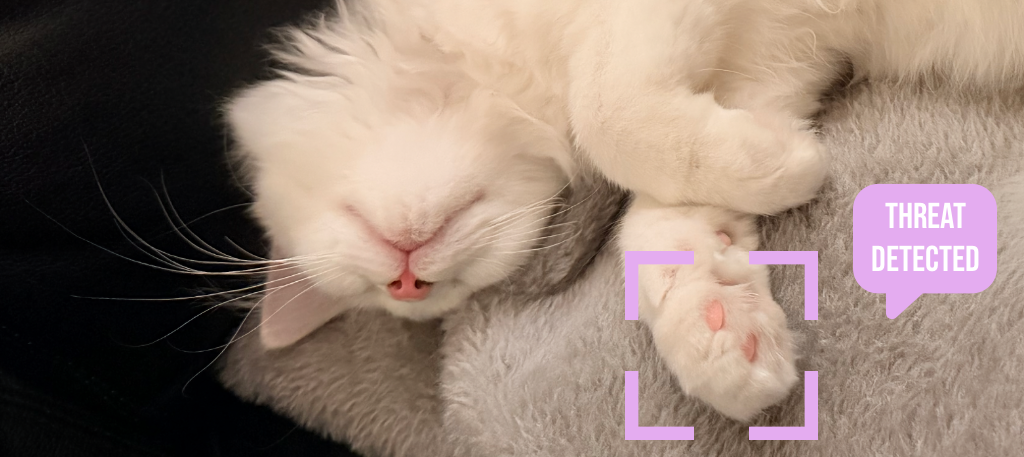 Building CatPaws: A macOS App That Protects Your Work from Curious Cats